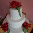 Svatebn� tulip�nov�