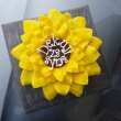 slune�nice za syna